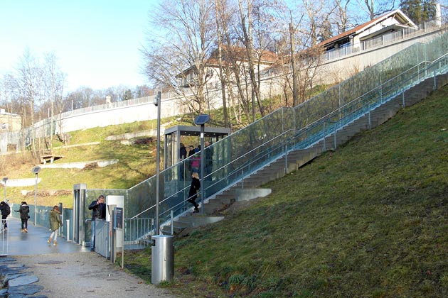 BärenPark Bern - 2015-12-20