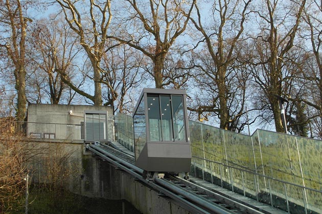 BärenPark Bern - 2015-12-20