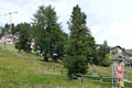 Vergrößern / Enlarge / Agrandir