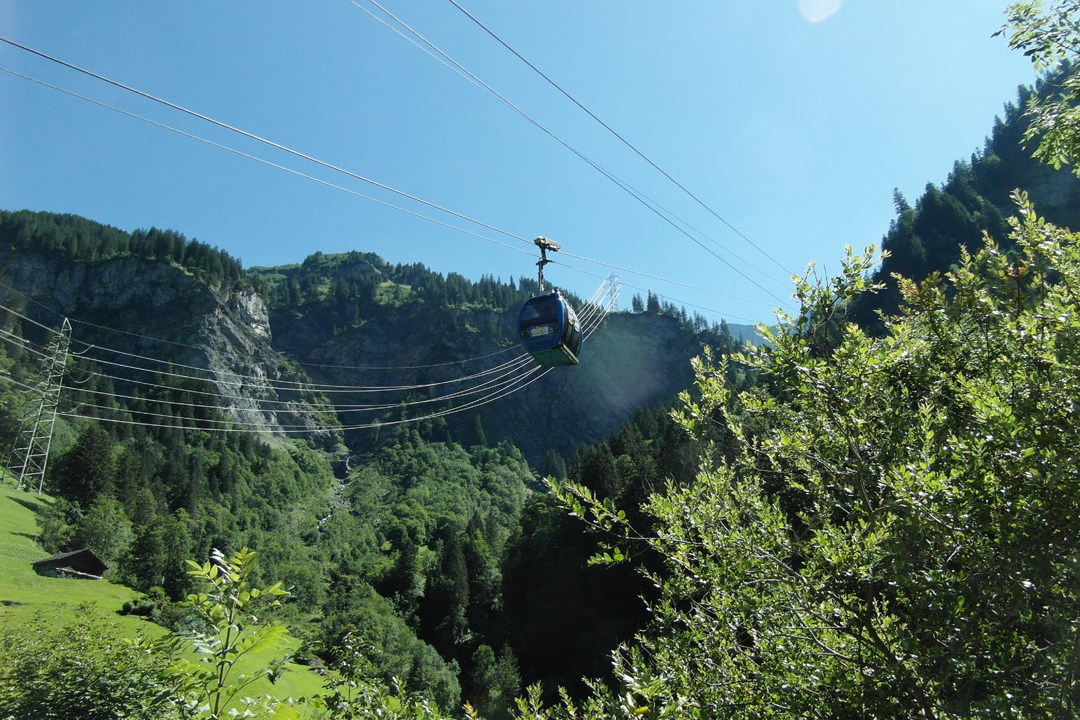 GTBE Elm - 2019-08-18 GTBE Elm - 2019-08-18