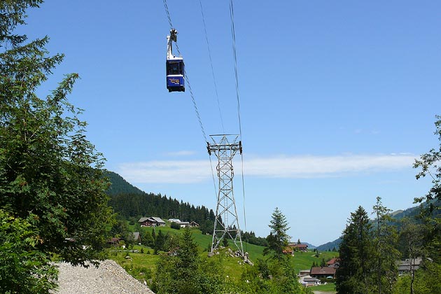 LSH Alpthal - 2009-07-21 LBH Alpthal - 2009-07-21