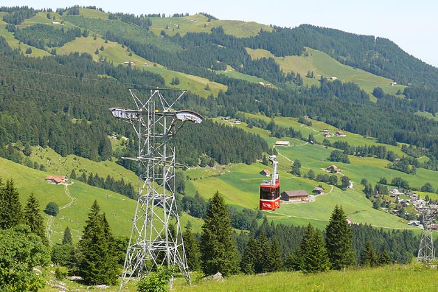 LSH Alpthal - 2009-07-21 LBH Alpthal - 2009-07-21