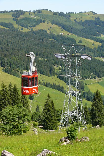 LSH Alpthal - 2009-07-21 LBH Alpthal - 2009-07-21
