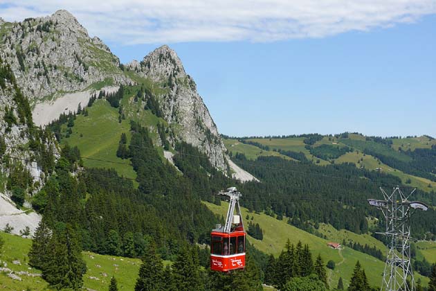 LSH Alpthal - 2009-07-21 LBH Alpthal - 2009-07-21