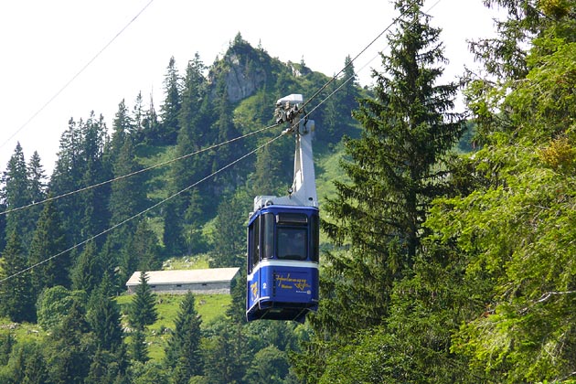 LSH Alpthal - 2009-07-21 LBH Alpthal - 2009-07-21