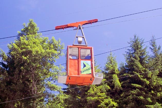 LFB Fellboden (Oberrickenbach) - 2005-08-05