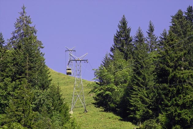 Fell-Spis (Oberrickenbach) - 2005-08-05 Fell-Spis (Oberrickenbach) - 2005-08-05