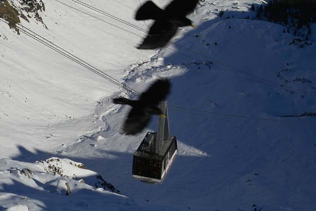 LSMS Lauterbrunnen-Mürren - 2006-01-15 LSMS Lauterbrunnen-Mürren - 2006-01-15