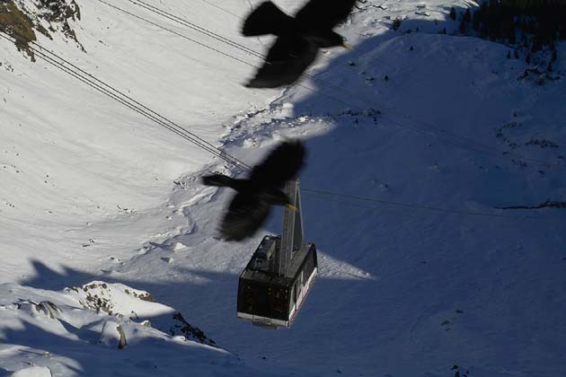 LSMS Lauterbrunnen-Mürren - 2006-01-15