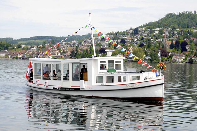 MS Schwan - Zug