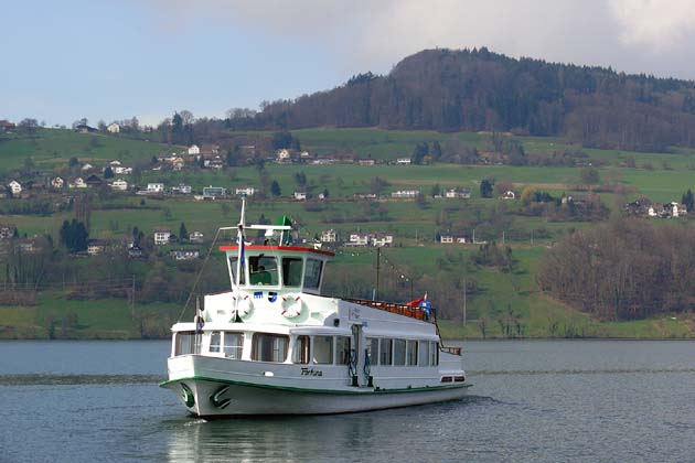 SGH Meisterschwanden Delphin - 2010-04-02