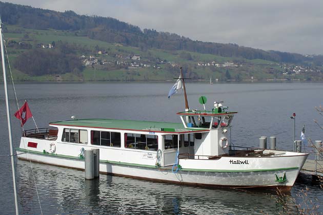 SGH Meisterschwanden Delphin - 2010-04-02