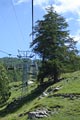 Vergrößern / Enlarge / Agrandir