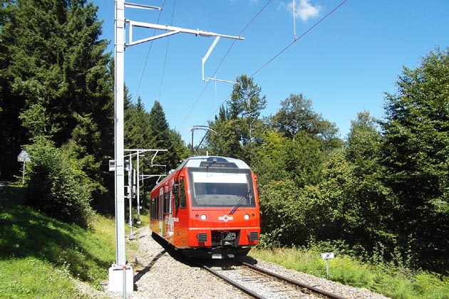 SZU Uetliberg - 2022-08-22