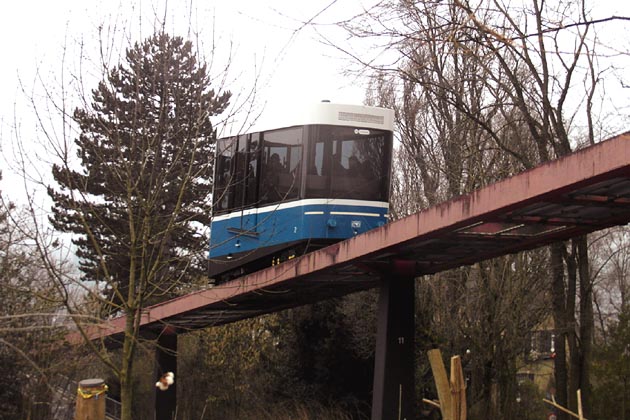 VBZ Rigiblick - 2026-01-24